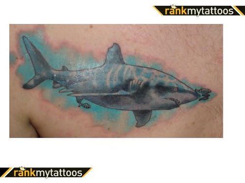 Animal Tattoo - Shark
