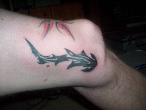 Tribal Hammerhead Shark Tattoo On Knee