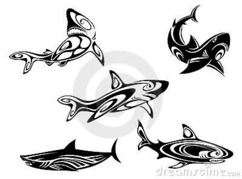 Shark Tattoos Designs Samples