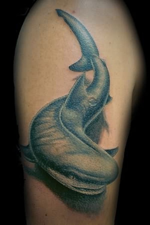 Light Blue Shark Tattoo On Sleeve