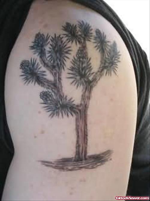 Big Tree Tattoo On Shoulder