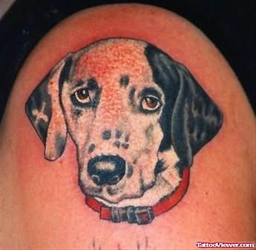 Animals Dog Tattoo On Shoulder