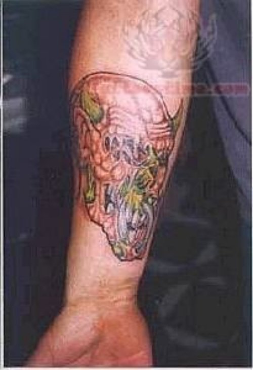 Nice Skull Tattoo On Arm