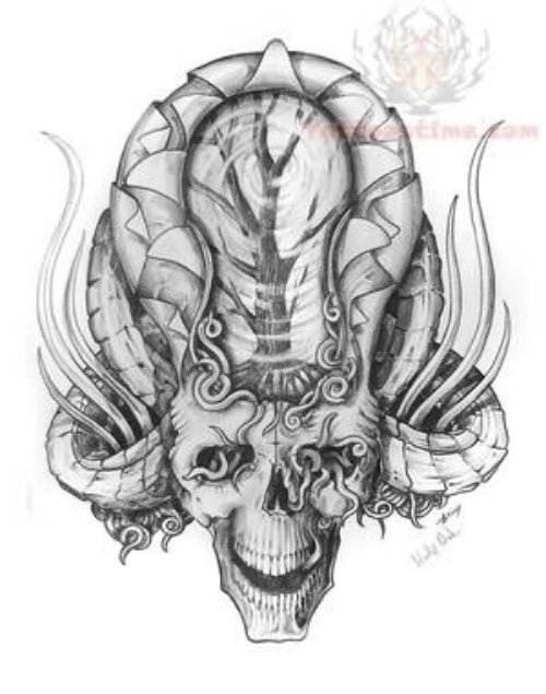 Skull Tattoo Designs Picture