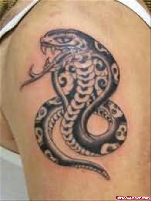 Blacl Cobra Snake Tattoo On Shoulder