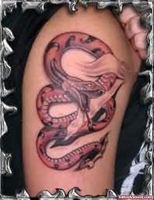 Snake Large Tattoos