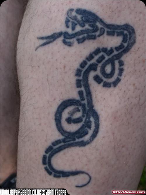 Custom Snake Tattoo Design