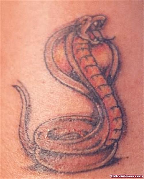 Wonderfull Snake Tattoo