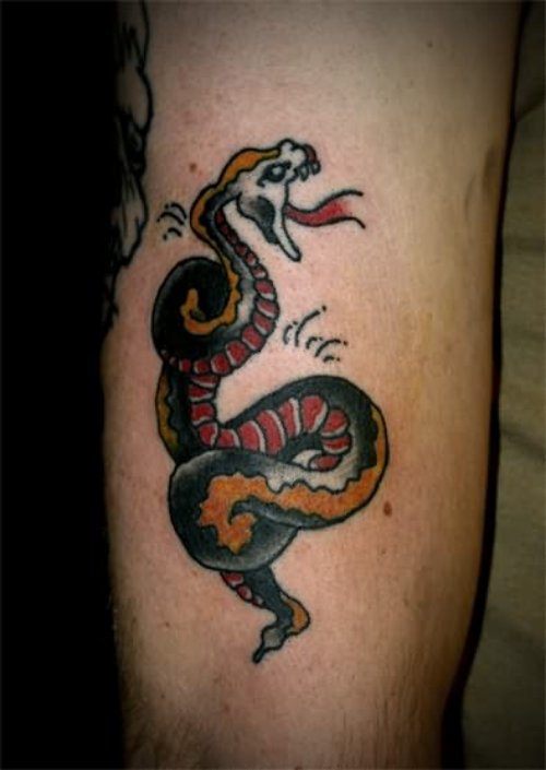 Orignal Snake Tattoo For Bicep