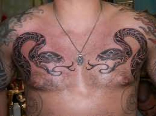 Snakes Tattoos On Chest