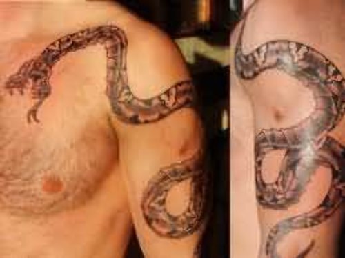 Snake Tattoo On Biceps And Chest