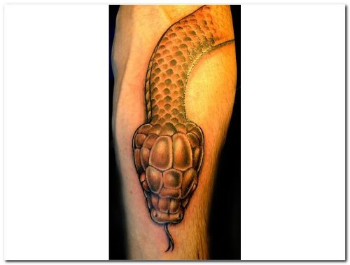Snake Tattoo Designs  On Muscles