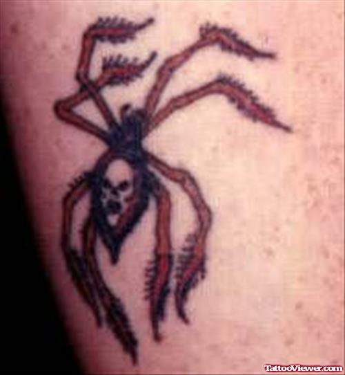 Insect Spider Tattoo