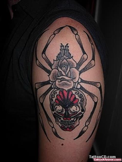 3D Spider Tattoo On Bicep