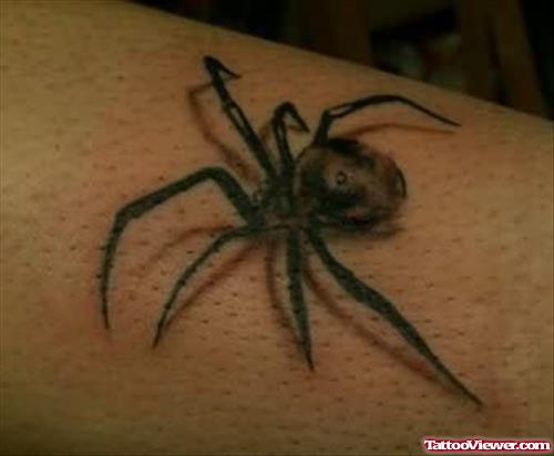 Spider Bug Tattoo