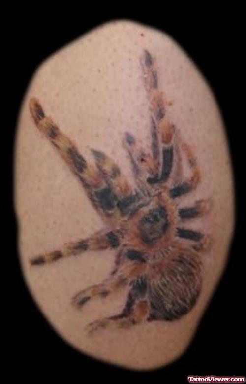 Tarantula Spider Tattoo