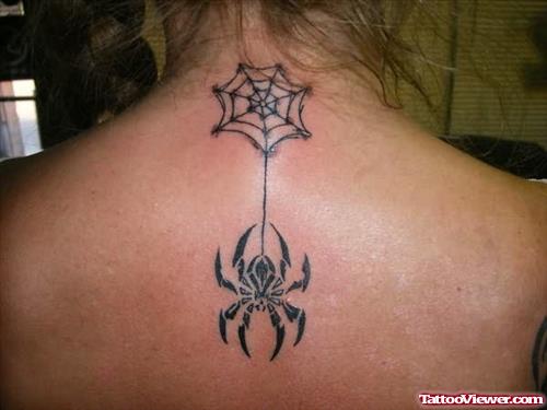 Spider Web And Spider Tattoo On Back