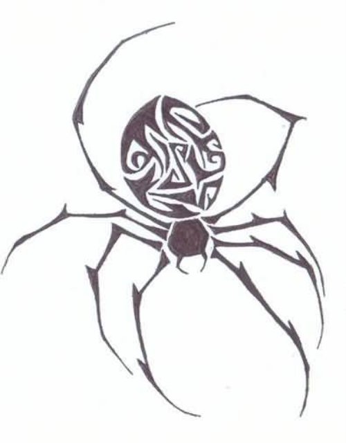 Spider Celtic Tattoo Design