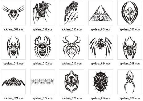 Spider Amazing Tattoos Designs