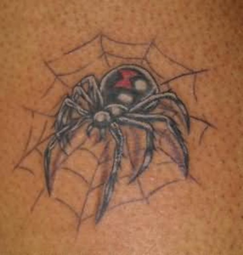 Black Spider Web & Widow Spider Tattoo