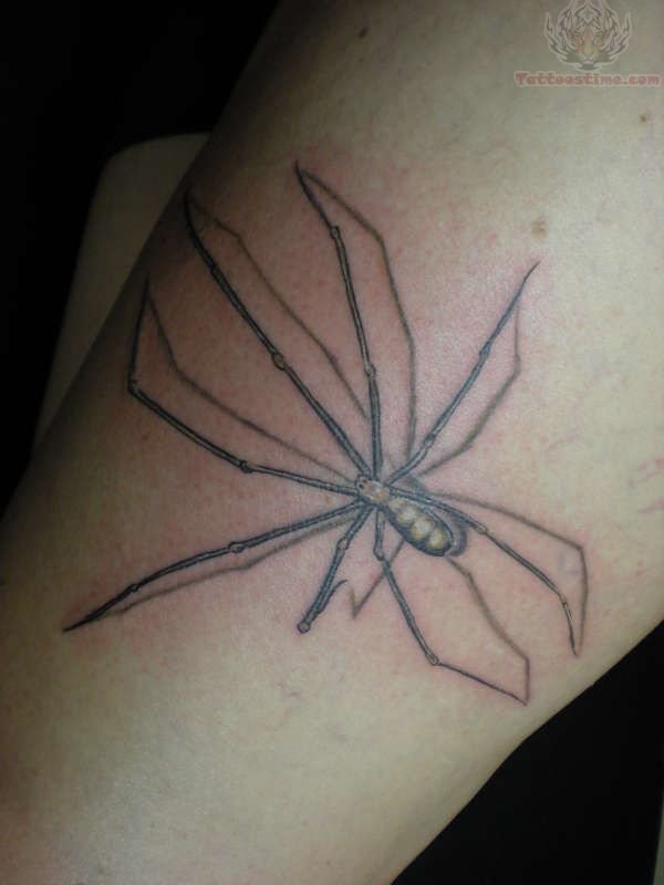 Longleg Spider Tattoo