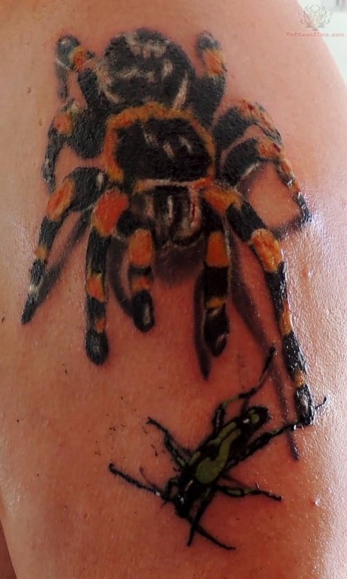 Tarantula Spider Stalking Beetle Tattoo On Shoulder