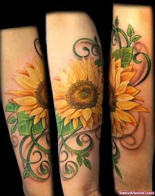 Sunflower Tattoos Designs Picture