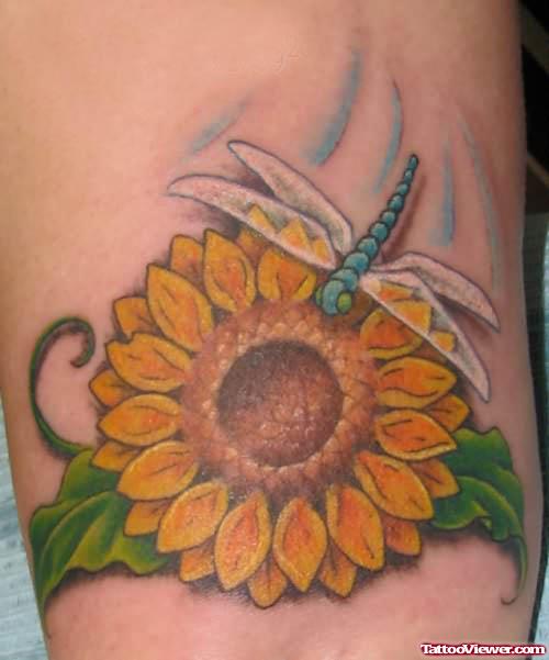 Sunflower And Dragonfly Tattoo