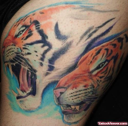 Angry Tiger Faces Thigh Tattoo