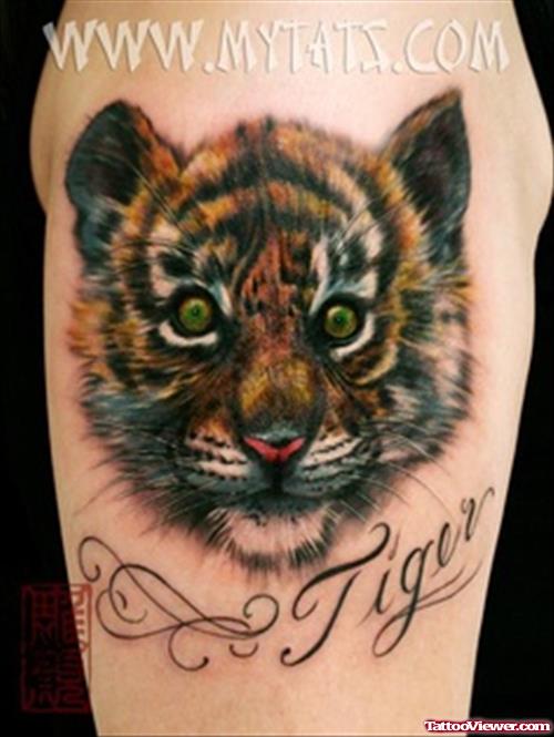 Tiger Tattoo On Right Shoulder