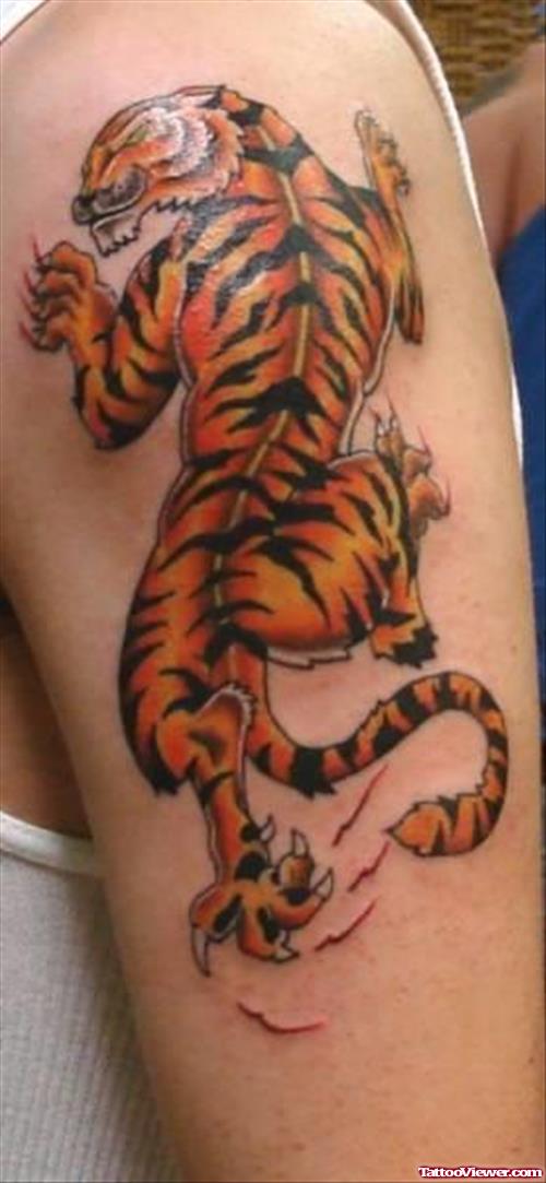Awesome Color Ink Tiger Tattoo On Right Half Sleeve