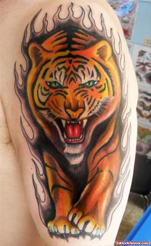 Roaring Tiger In Flames Tattoo On Half Sleeve