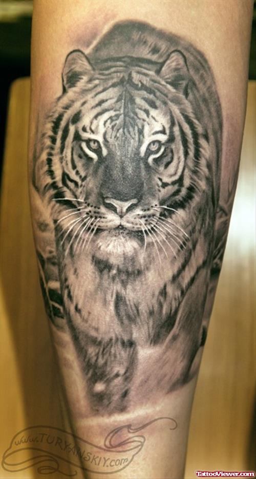 Amazing Grey Ink Tiger Tattoo On Leg