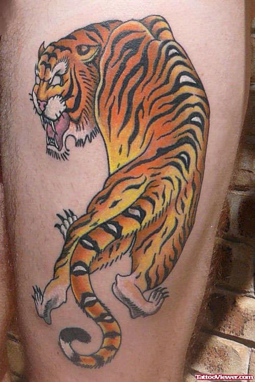 Amazing Color Tiger Tattoo On Leg