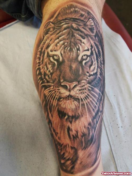 Awesome GRey Ink Tiger Tattoo On Right Leg