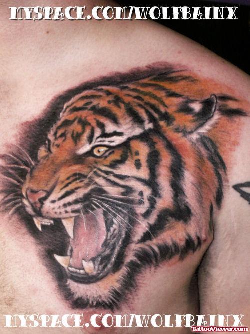 Amazing Color Ink Tiger Tattoo On Man Chest