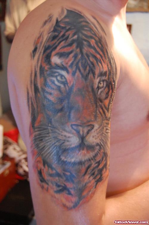Color Ink Tiger Tattoo On Right Half Sleeve
