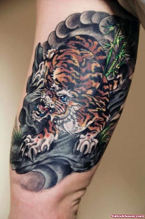 Color Ink Tiger Tattoo On Bicep