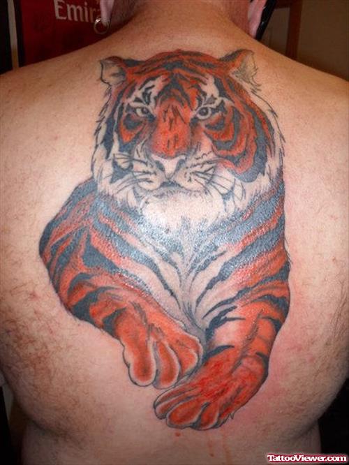 Color Ink Tiger Tattoo On Upperback