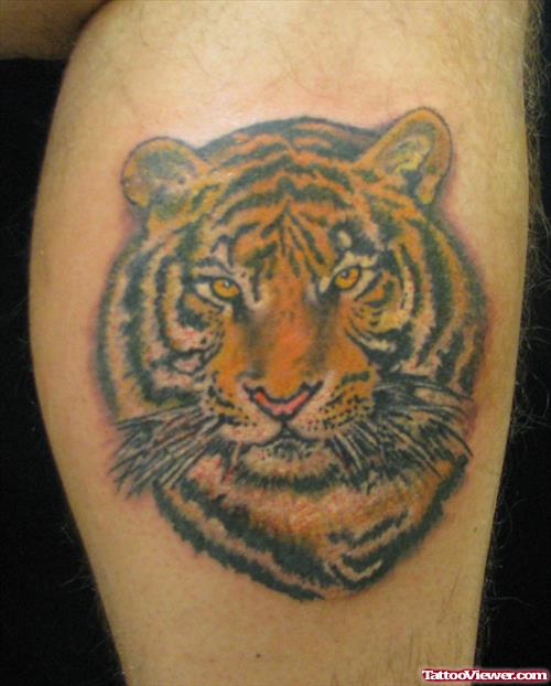 Best Tiger Head Tattoo