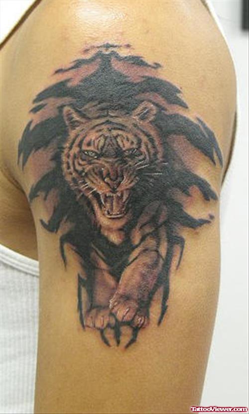 Awesome Tiger Tattoo On Man Left Shoulder