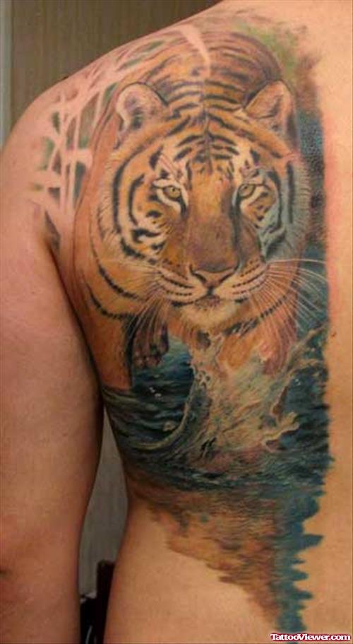Color Ink Tiger Tattoo On Left Back Shoulder