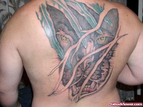 Tiger Tattoo on Man Back