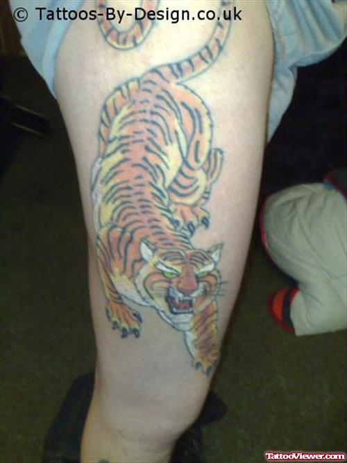 Awesome Color Ink Tiger Tattoo On Right Thigh