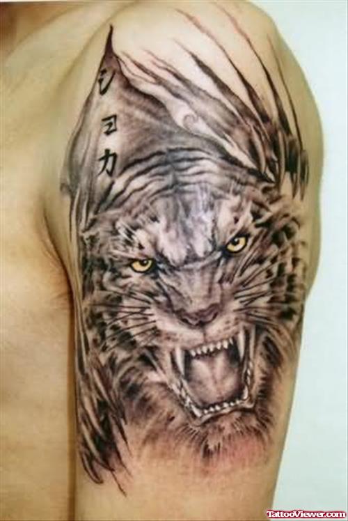 Grey Ink Roaring Tiger Tattoo On Left Shoulder