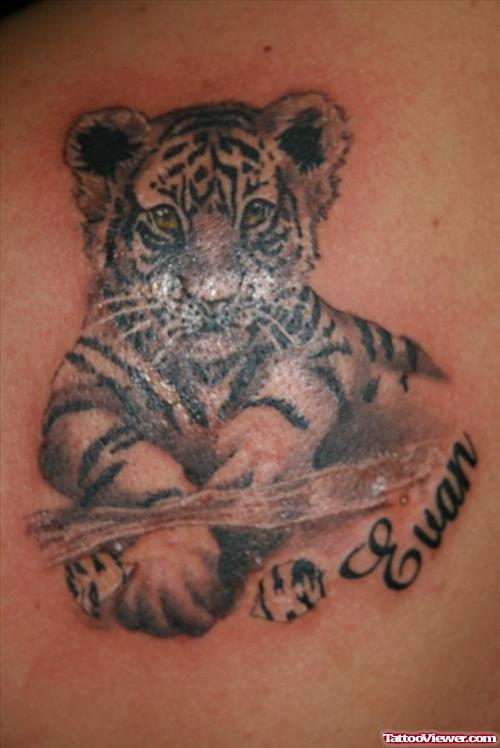 Amazing Grey Ink Tiger Tattoo On Back
