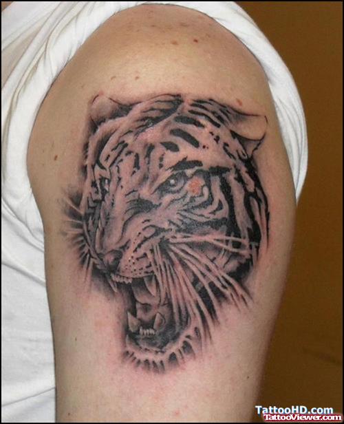 Grey Ink Roaring Tiger Head Tattoo On Left Shoulder