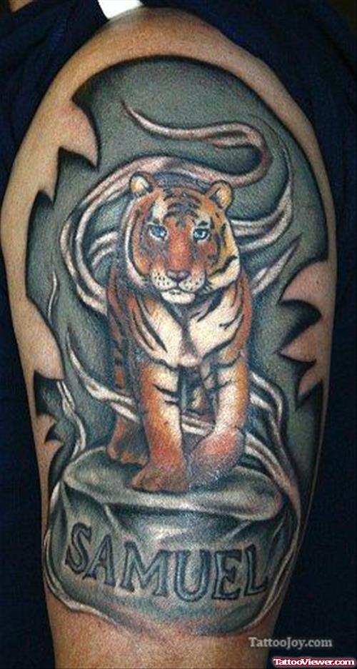 Awesome Tiger Tattoo On Half Sleeve
