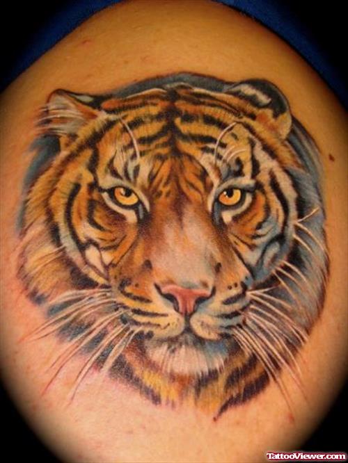 Awesome Tiger Head Tattoo