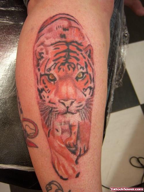 Amazing Color Ink Tiger Tattoo On Leg